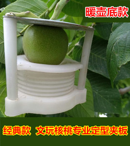 文玩核桃麻核桃定型模具 夹板 夹子 塑料弹簧款 轻巧可调节