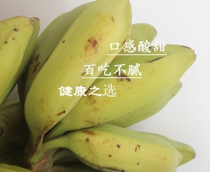 10斤广西大芭蕉牛蕉大蕉牛角蕉新鲜香蕉水果无催熟剂