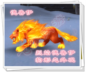 魔兽世界代练豹形态外观烈焰德鲁伊火猫火豹子帅气拉风!