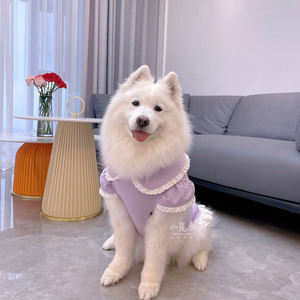 【小尾巴宠物】中大型犬大狗狗紫罗兰蛋糕泡袖甜美蝴蝶结可爱裙子