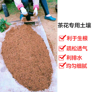 金花茶茶花专用土壤盆栽营养土北方南方适用酸性土壤进口日本肥料