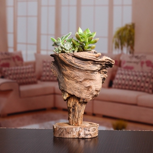 创意多肉花盆树根木根花盆 天然松香枯木朽木花盆原木多肉造景盆