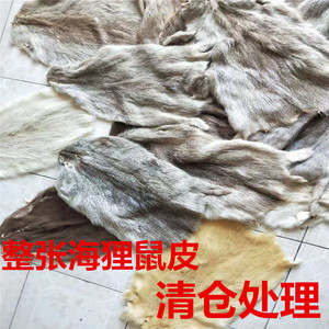 清仓处理整张海狸鼠皮草皮毛旱獭皮真皮坐垫皮毛一体服装面料diy