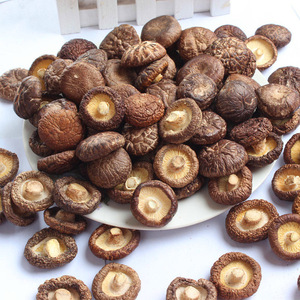 福建古田特产香菇干货500g 农家散装剪脚特级香姑 干香茹包邮菌类