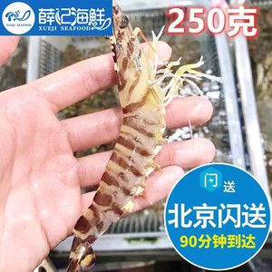250g 北京闪送 鲜活 基围虾 新鲜水产活虾明虾九节虾竹节虾海鲜