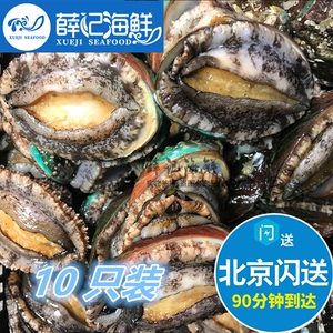 10只装 40g/只 12头鲍 北京闪送 大鲍鱼 新鲜鲜活 海鲜 大连鲍鱼