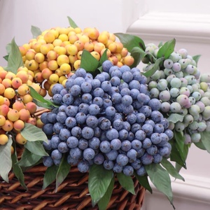 ins带叶仿真浆果红果蓝莓假果子拍摄道具家居摆件diy花束花环装饰