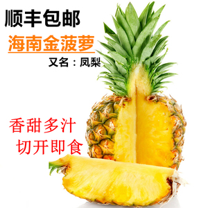 海南三亚树上熟金菠萝手撕香水凤梨新鲜现发水果大果2个顺丰包邮