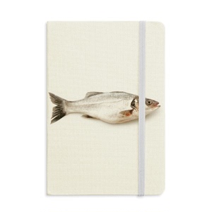 海洋鱼类活着活跃硬质笔记本办公记事本子学生用