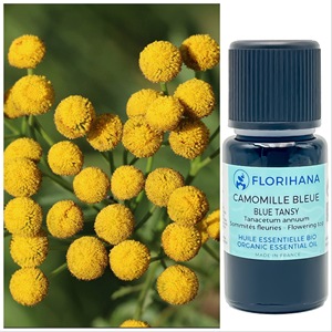 蓝艾菊精油 16.97ml 野生摩洛哥 huahuaflorial florihana 花尖