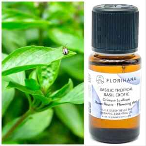 【茴香精油】茴香精油品牌,价格 - 阿里巴巴