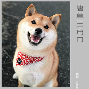 a定制特价黑柴印三角巾日本唐草柴犬猫 狗狗围嘴口水巾 包邮!