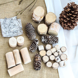 天然桦木桩森系幼儿园环创自然角手工diy创意制作材料干树皮松果