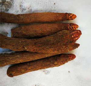 片中药材泡酒补新鲜晒干货肾切片泡茶泡水喝索阳琐阳擢盛旗舰店40