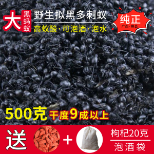 广西大黑蚂蚁干正品野生拟黑多刺蚁黑蚂蚁可食用泡酒料500g可磨粉