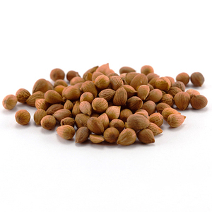 中药材 郁李仁 小李仁 大李仁肉 品质优选 500克批38元发包邮