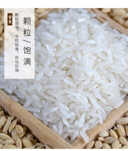 黑龙江省查哈阳原产地东北大米10斤寒地长粒米厂家直发颗粒饱满