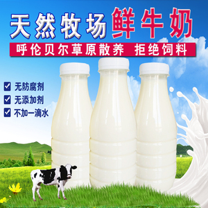 每日现挤草原新鲜纯牛奶订购顺丰包邮孕妇儿童瓶装内蒙古呼伦贝尔