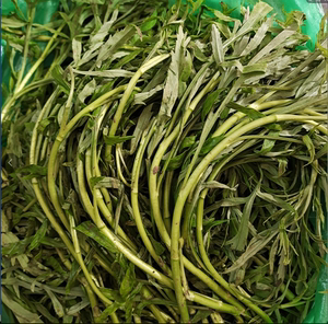 年后发货新鲜泥蒿带叶子 自已去叶子去根