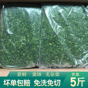 速冻食品冷冻野荠菜馅5斤装新鲜切碎保鲜馄饨饺子包子春卷馅包邮