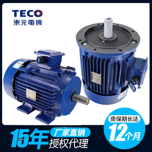 TECO无锡东元电机5.5kw 7.5kw11kw 15kw22kw卧式 立式东元马达
