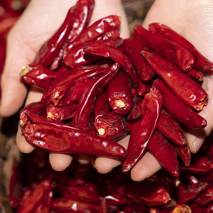 新一代干辣椒王河南中辣特香辣椒面干海椒火锅店专用辣椒皮厚250g