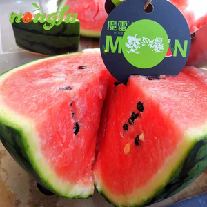 山东魔雷西瓜新鲜水果应季4个/箱爽到爆纯甘甜多汁单个约3.5斤
