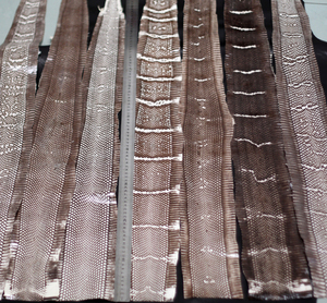 眼镜蛇皮 大王蛇皮 真皮 用于层压 弓片 diy装饰