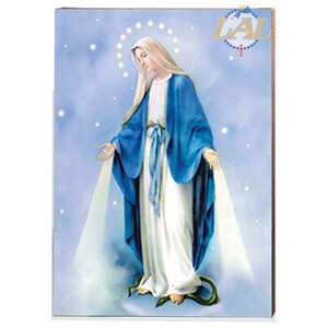 【圣母显灵圣牌】圣母显灵圣牌品牌,价格 - 阿里巴巴