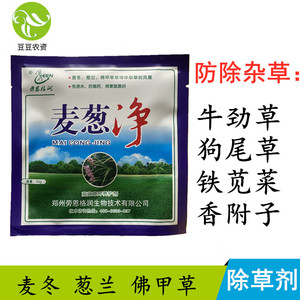 小鸟大地溪流淘宝章丘葱草克大葱小葱圆葱大蒜韭菜专用剂苗十厘米