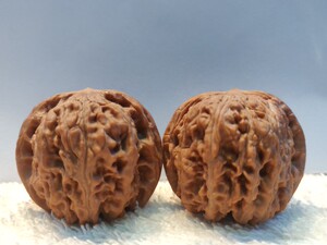 xs224野生小众品种文玩核桃收藏级精品小众弥勒佛麻墩狮子头6.17