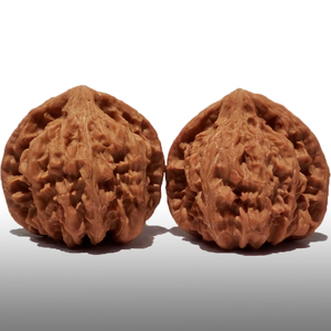 【文玩核桃苗树虎头】文玩核桃苗树虎头品牌,价格 - 阿里巴巴