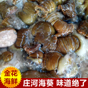 大连庄河海鲜特产 海葵 海腚根 海花 沙蒜海肠子煲汤食材