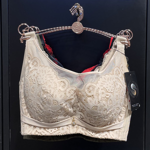 六月玫瑰8103文胸二代氧塑丰姿大胸显小全罩杯聚拢收副乳调整型cd