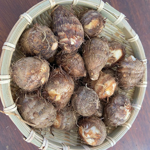 云南山地自种新鲜现挖毛芋头芋艿小果粉面芋头包邮非荔浦芋头粉面