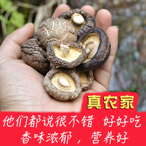 庆元香菇干精选新干香菇干货黑面菇一斤肉厚脚短香味浓山珍土特产