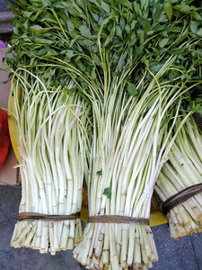 拍满50元包邮海南蔬菜 新鲜蔬菜 水芹 西芹菜