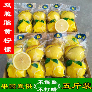 四川安岳双胞胎黄柠檬当季新鲜水果奶茶店直供皮薄非青柠整箱包邮