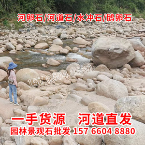 天然河卵石工程鹅卵石铺路铺地水冲石溪流石河滩石广东河道直发