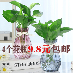 创意玻璃花瓶透明彩色 绿萝观音竹植物水培花瓶 风信子插花瓶摆件