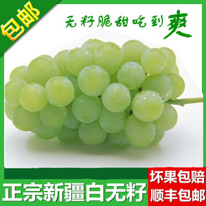 新疆吐鲁番无籽白葡萄 新鲜水果 无籽甜青提子奶提子 3斤顺丰包邮