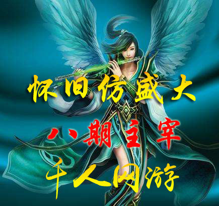 新开传世私服玩感觉道士慢很卡你设置DNS就好