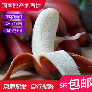 红香蕉福建特色新鲜水果土楼红美人蕉农家现割红皮热带香蕉1-5斤