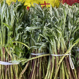 湖北新鲜野生藜蒿红杆泥蒿湖北野菜带叶芦蒿现摘现发1-3斤包邮