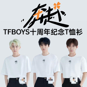 TFBOYS十周年演唱会应援衣服王俊凯王源易烊千玺同款短袖纪念T恤