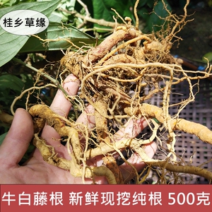 新鲜牛白藤根土甘草根脓见消根土加藤根接骨丹根广西中草药500克