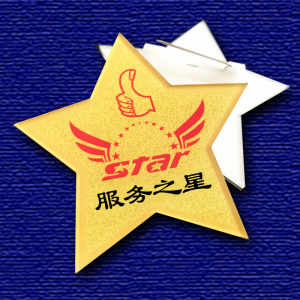 亚克力胸牌定制五角星服务之星优秀员工别针式制作胸卡徽章勋章