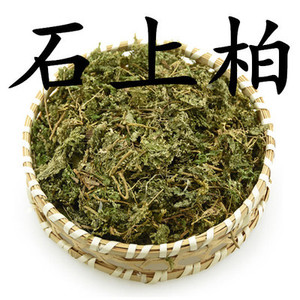 岩柏草
