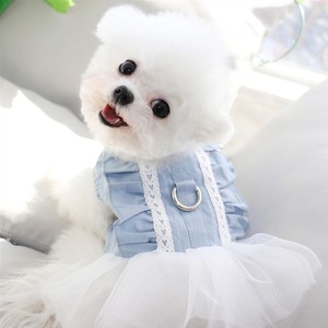 泰迪比熊1一2月带牵引扣的小奶狗狗衣服公主风裙子约克夏比熊薄款