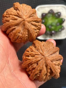 南疆石狮子头六棱(收藏珍品文玩核桃传世把盘六道轮回)